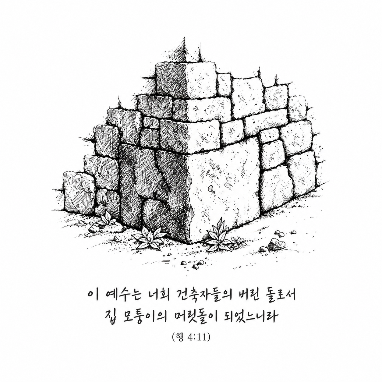 주보 표지 그림