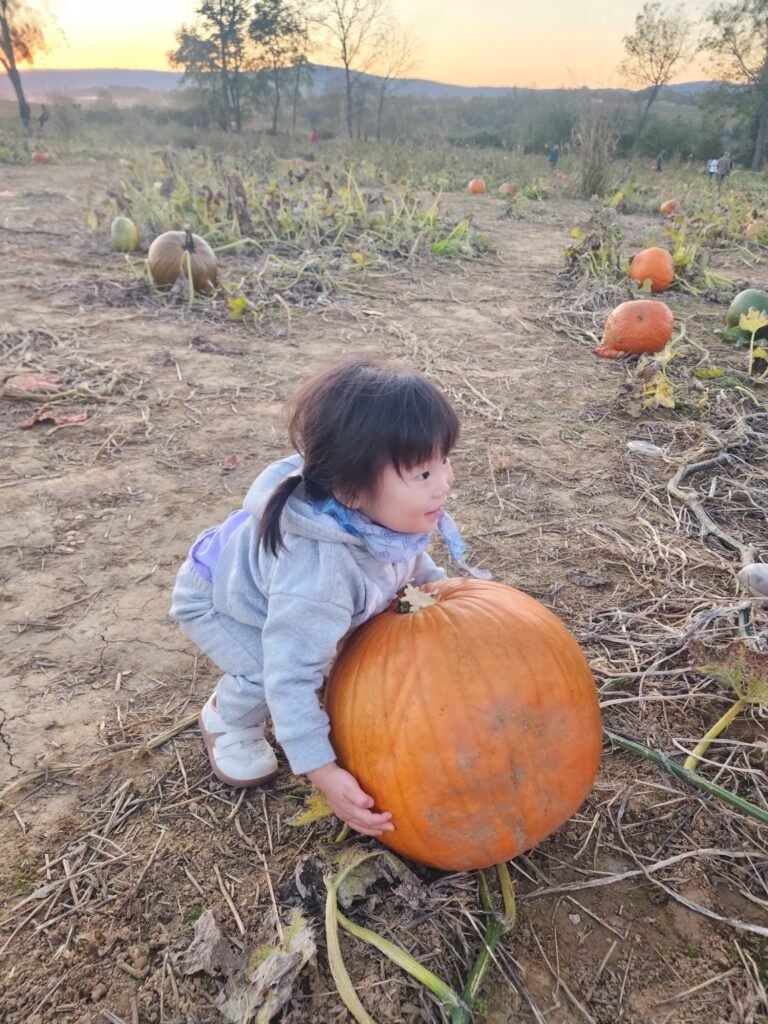 교육부-유초등부&EM 가을 나들이 🍂🎵 — 69