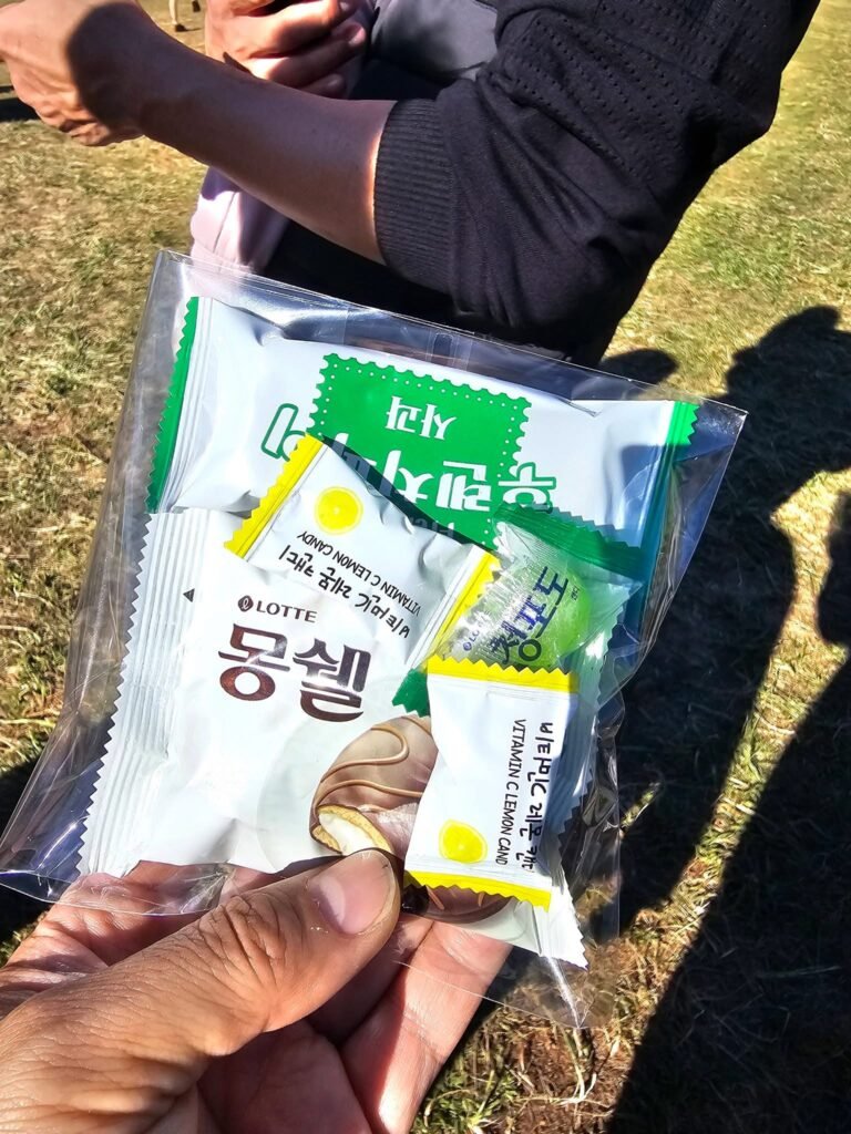 교육부-유초등부&EM 가을 나들이 🍂🎵 — 3
